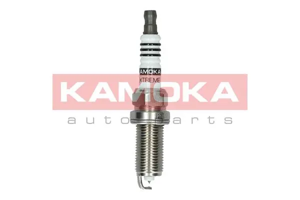 Spark Plug (7100055)