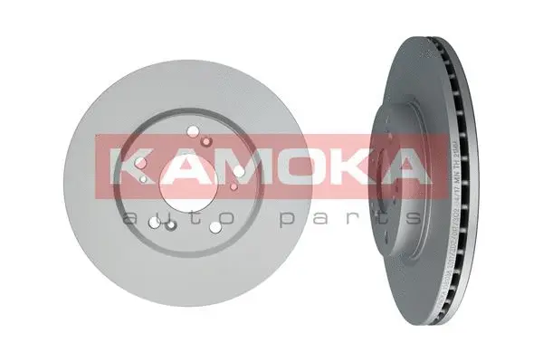 Brake Disc (1031038)