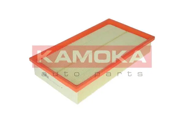 Air Filter (F207701)
