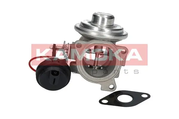 EGR Valve