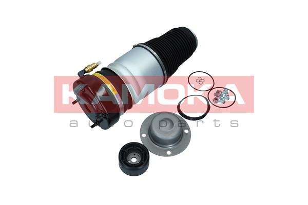 Air Spring, suspension (2079001)