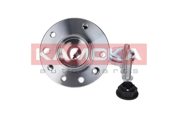 Wheel Bearing Kit (5500131)