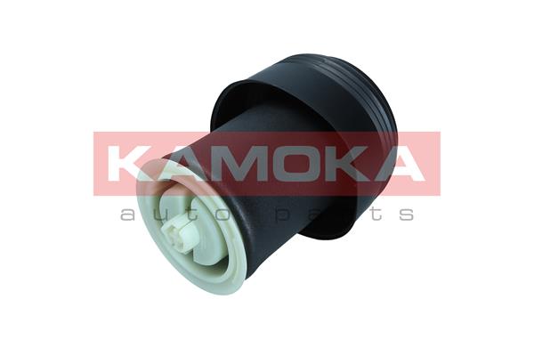 Air Spring, suspension