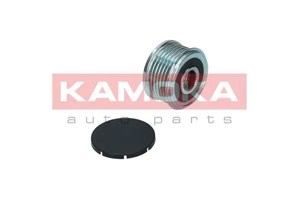 Alternator Freewheel Clutch