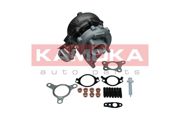 Charger, charging (supercharged/turbocharged) (8600056)