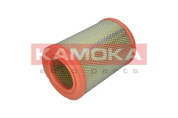 Air Filter (F201801)