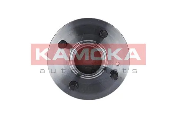 Wheel Bearing Kit (5500095)
