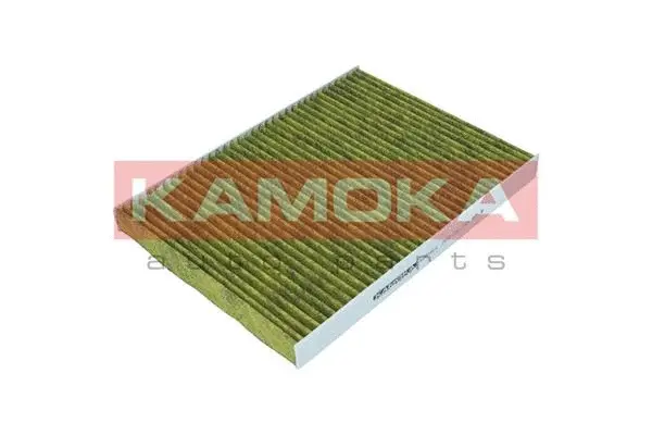 Filter, cabin air (6080001)