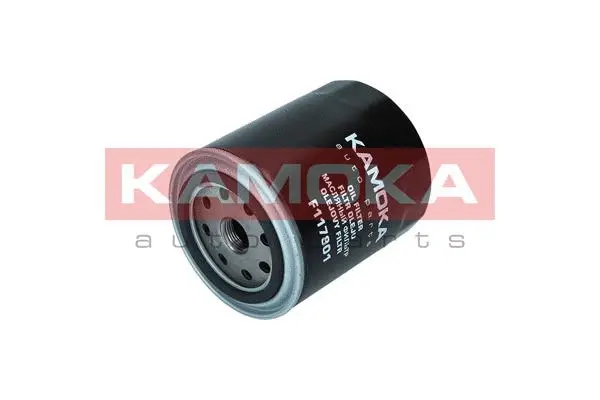 Oil Filter (F117801)