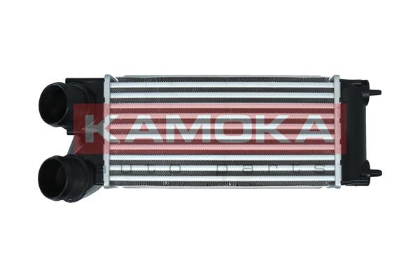 Charge Air Cooler (7750119)