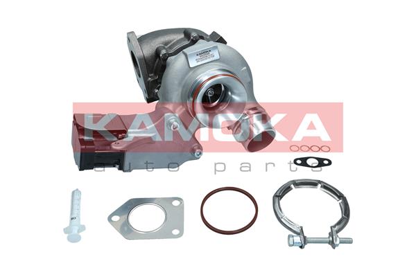 Charger, charging (supercharged/turbocharged) (8600066)