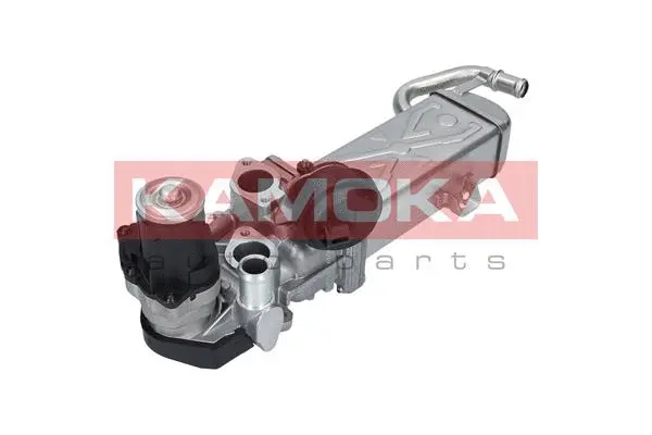EGR Module
