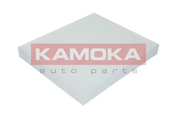 Filter, cabin air (F412001)