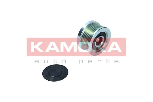 Alternator Freewheel Clutch