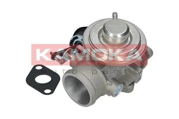 EGR Valve