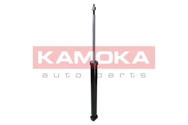 Shock Absorber (2000896)