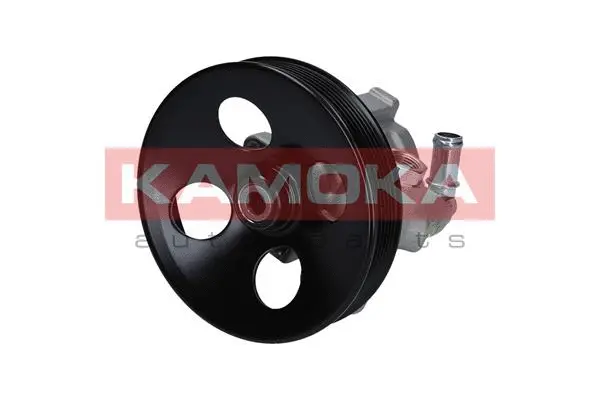 Hydraulic Pump, steering (PP156)