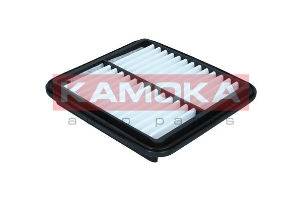 Air Filter (F254601)