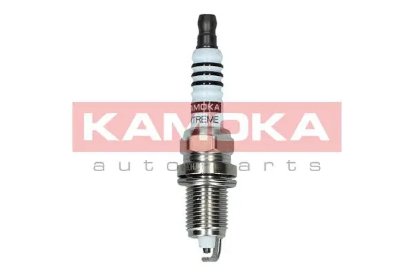 Spark Plug (7090538)