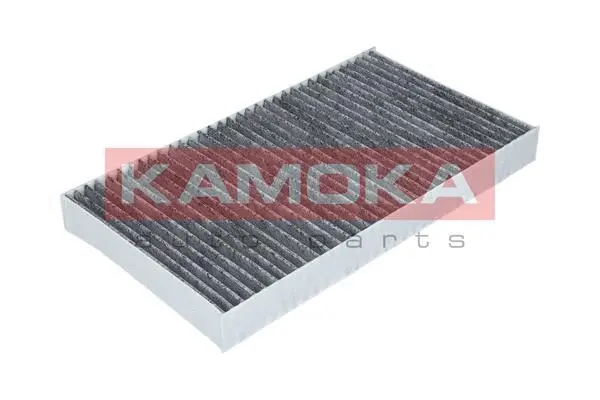 Filter, cabin air (F501201)
