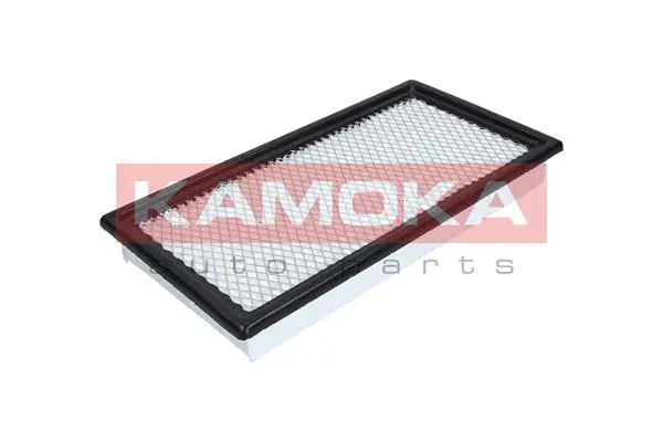 Air Filter (F224901)