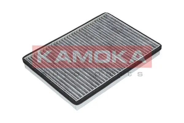 Filter, cabin air (F506401)