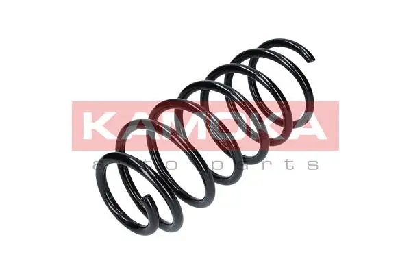 Suspension Spring (2110074)