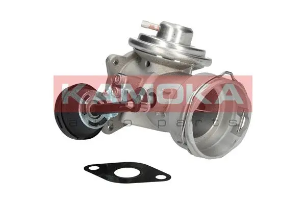 EGR Valve