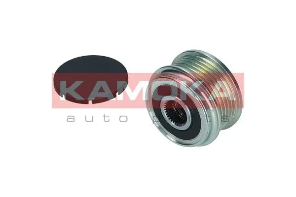 Alternator Freewheel Clutch