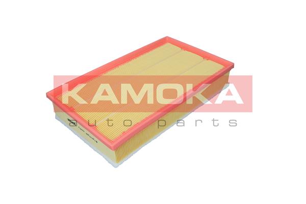 Air Filter (F257701)