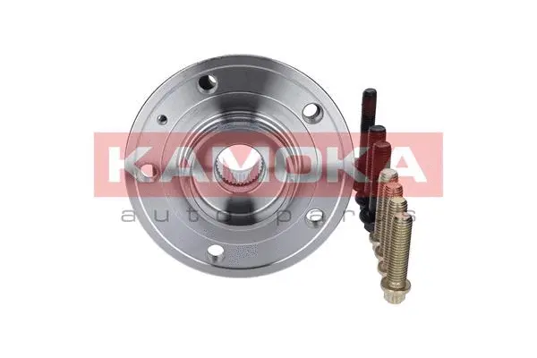 Wheel Bearing Kit (5500067)