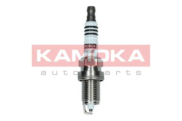 Spark Plug (7090534)