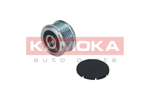 Alternator Freewheel Clutch