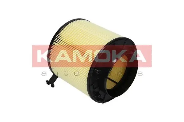 Air Filter (F215601)