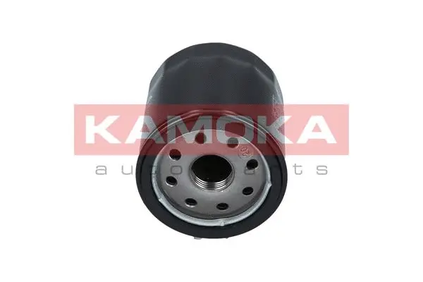 Oil Filter (F104001)
