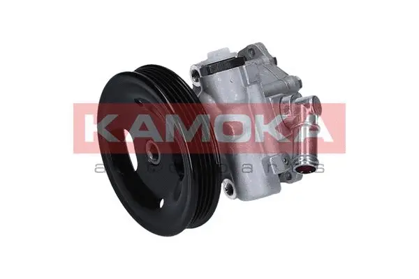 Hydraulic Pump, steering (PP067)