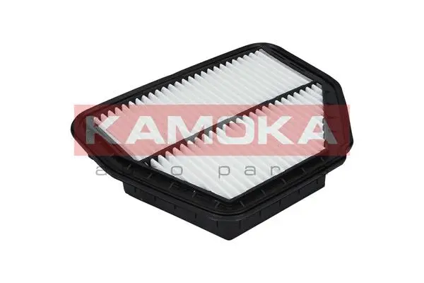 Air Filter (F226901)