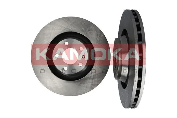 Brake Disc (1032476)