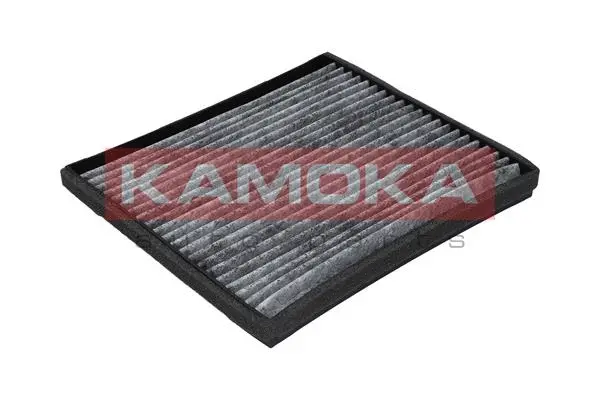 Filter, cabin air (F502001)