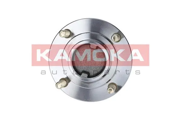 Wheel Bearing Kit (5500090)