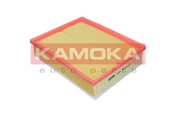 Air Filter (F259001)