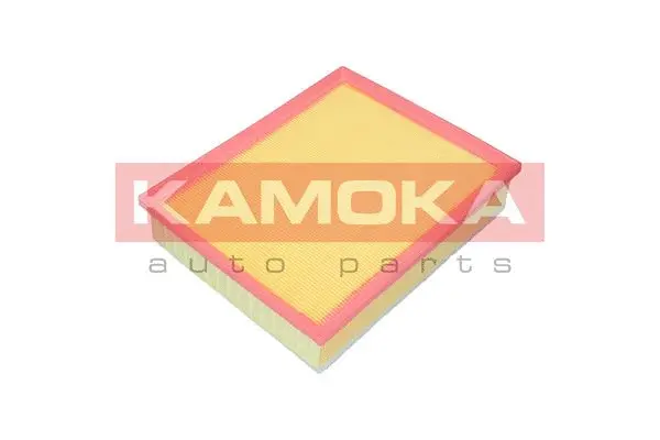 Air Filter (F249301)