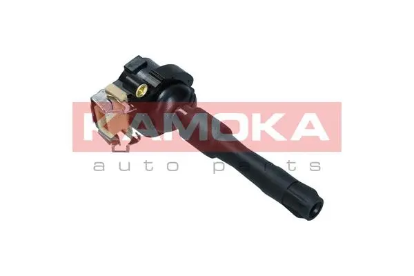 Ignition Coil (7120081)