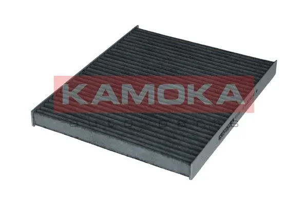 Filter, cabin air (F512301)