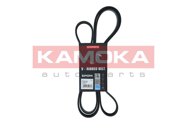 V-Ribbed Belt (7016193)