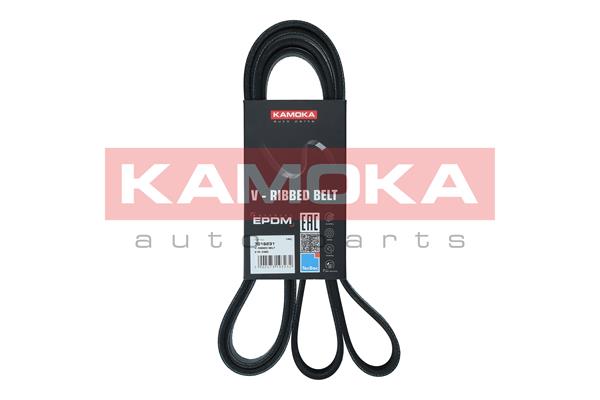 V-Ribbed Belt (7016231)