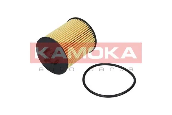 Oil Filter (F105601)
