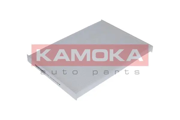 Filter, cabin air (F401801)