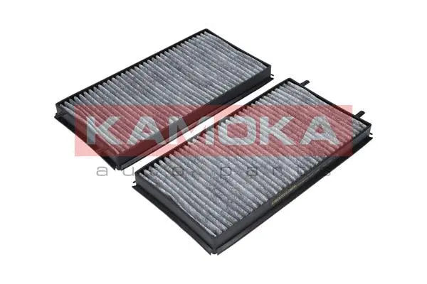 Filter, cabin air (F505601)
