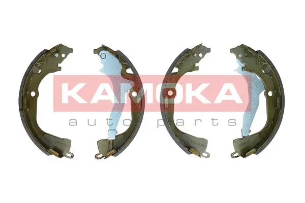 Brake Shoe Set (JQ202091)